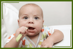 A baby with wide blue eyes is sitting in a high chair, chewing on a piece of celery. The baby is gripping the celery stick while wearing a colorful, patterned outfit, using it for teething relief.